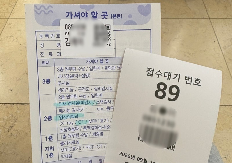 [담낭절제수술] 후기 Part 1. 담석 발견, 수술 결정까지