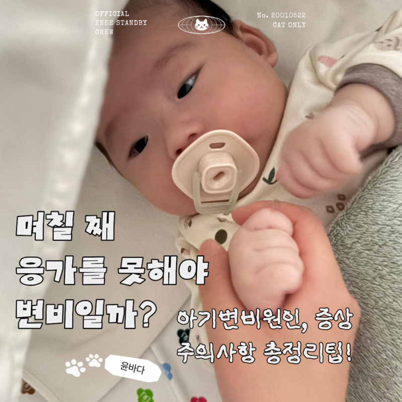 신생아 신생아 변비 증상 원인,해결법 총정리｜며칠째 응가 안 하면 변비일까?