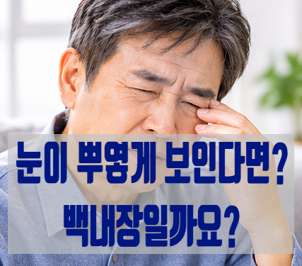 백내장 수술, 꼭 해야 할까요? 증상부터 수술 후 재발, 정부 지원까지 한 번에 정리!