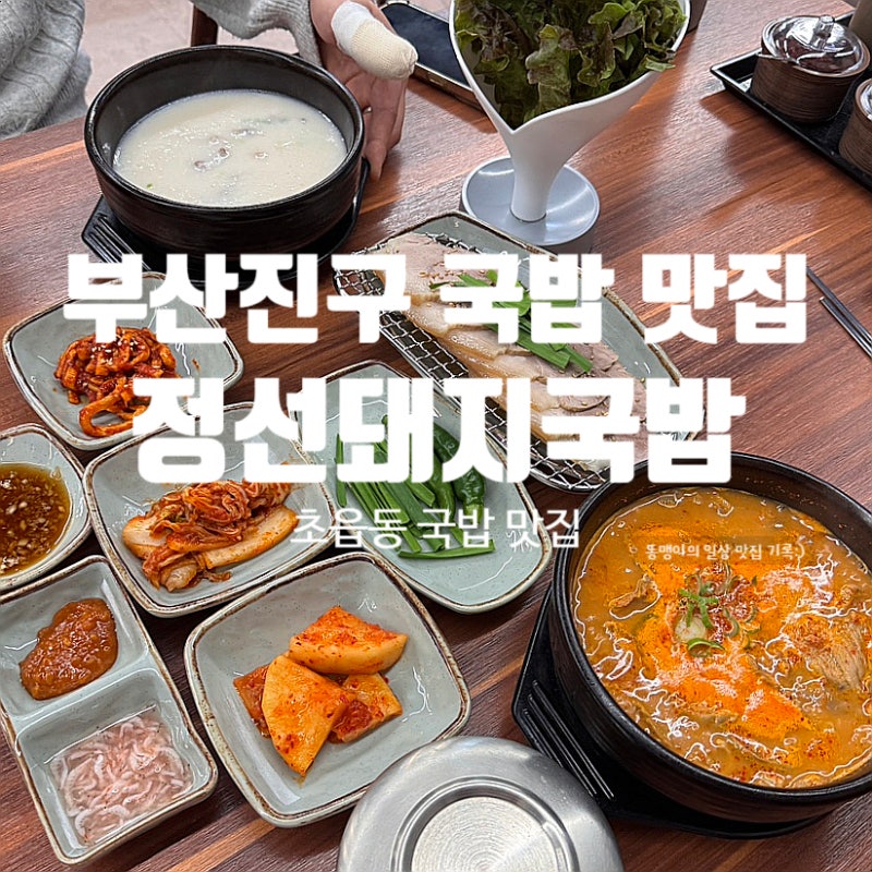 부산진구 초읍동 맛집 정선돼지국밥 얼큰내장국밥부터 수육백반까지 국밥 맛집 추천