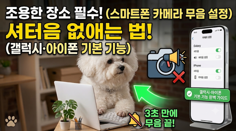 조용한 장소 필수! 스마트폰 카메라 셔터음 무음 설정하는 법 (갤럭시·아이폰 기본 기능 활....