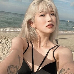 “내 평생 셰프님” 최준희가 공개한 남편 자랑 3가지… 185cm 남편과 찰떡 케미