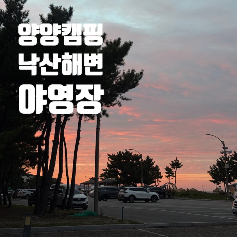 [양양 캠핑] 낙산해변야영장 2박 3일 후기 (feat. 가자미 낚시를 곁들인..)