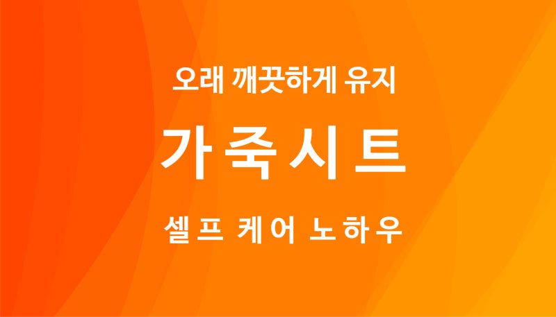 차량 가죽시트 관리법 오래 깨끗하게 유지하는 셀프 케어 노하우