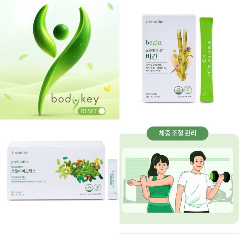 암웨이 다이어트 프로그램 바디키 리셋 I 가격 구성 I 단백질쉐이크 유산균 식이섬유 체지방 ....