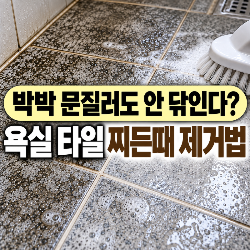 욕실 바닥 타일 찌든때 제거 방법