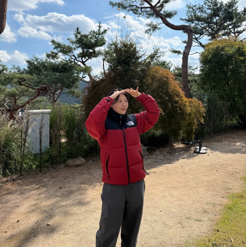 노스페이스 데일리 아우터 입어보니 역시 다르네, 리사이클다운 1996 레트로 눕시 자켓 착용 ....
