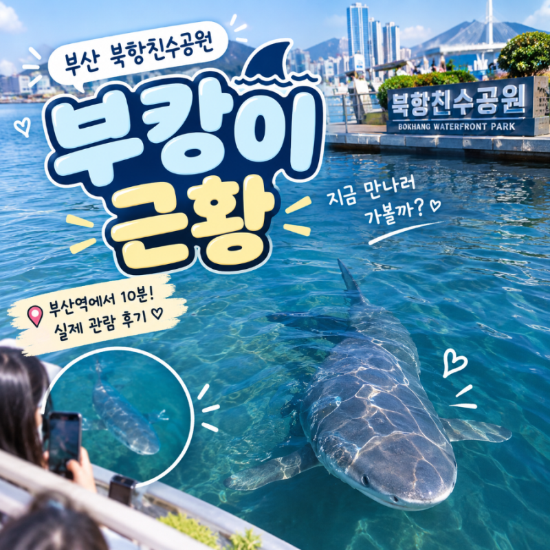 부산 북항친수공원 부캉이 근황-10월 05일