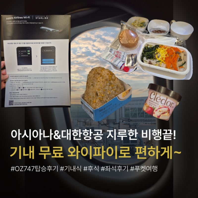 대한항공, 아시아나항공 기내 무료 와이파이 즐기는 꿀팁 & 기내식,어메니티 후기 (OZ747 푸켓....