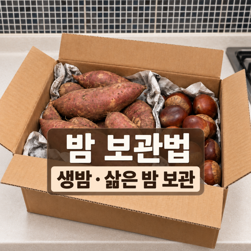 밤 보관법 생밤부터 깐 밤 삶은 밤까지 상태별 정리
