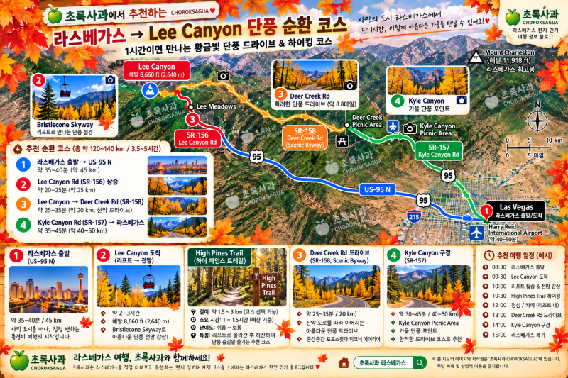 [라스베가스여행] 2026 리캐년(Lee Canyon) 단풍 절정! 사막에서 1시간, 가을을 만나는 곳