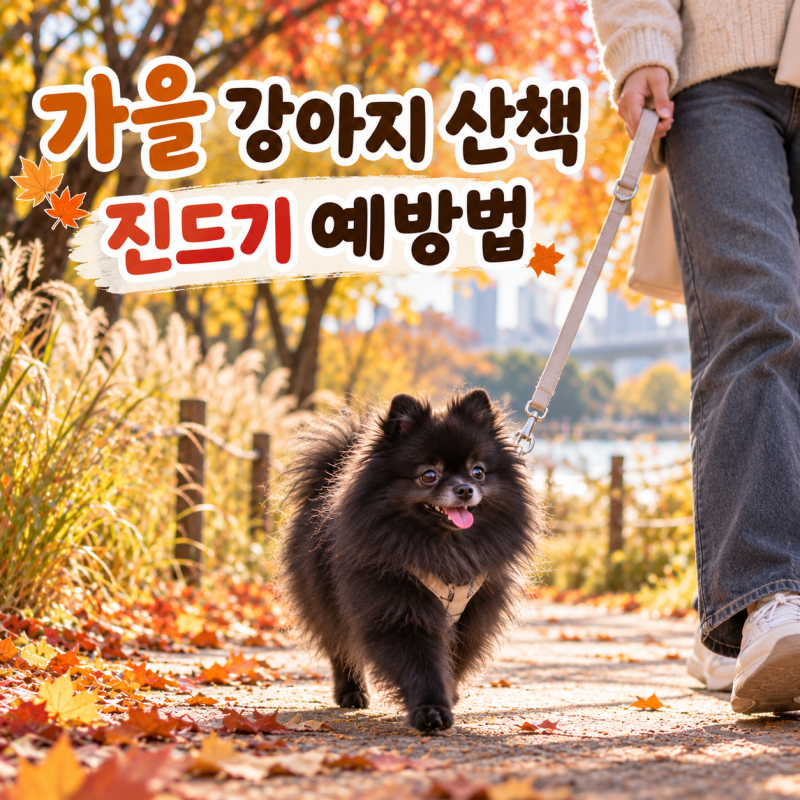 강아지 진드기 물렸을 때 어떻게 할까? 가을 산책 전후 예방법
