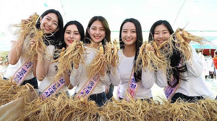“이번 주말 지나면 끝!” 2026 풍기인삼축제｜먹거리·공연·셔틀 총정리