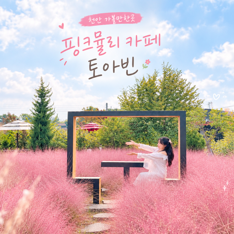 천안 가볼만한곳 핑크뮬리 카페 토아빈 이쁜 정원 볼거리 천안 여행 명소