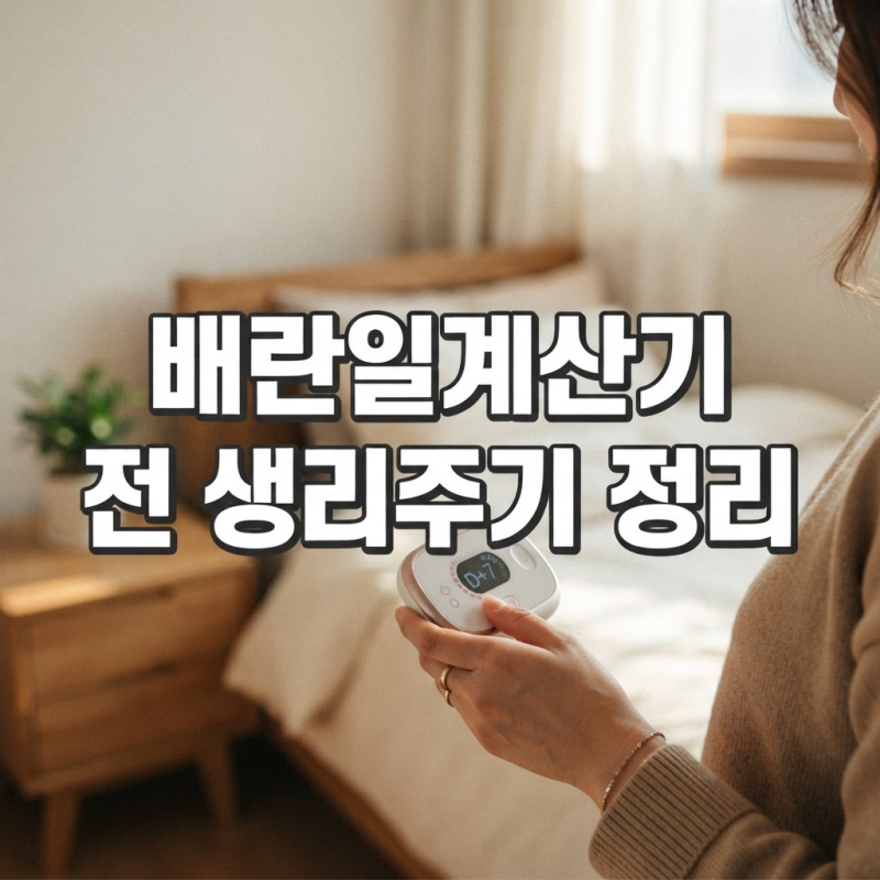 배란일계산기, 가임기 확인 전 생리주기부터 정리하기