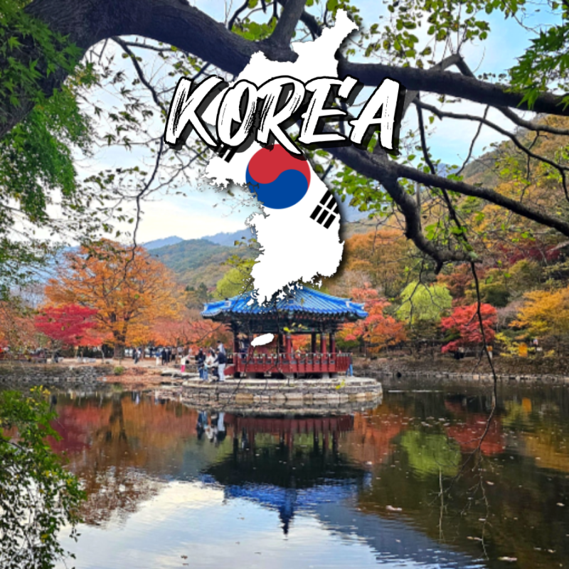 2026 단풍 시기 언제일까? 지역별 첫단풍 절정시기 명소 총정리