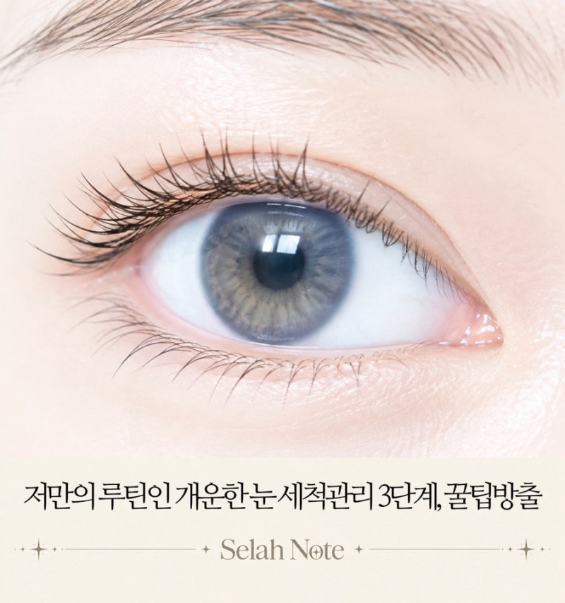 눈이 침침하고 뻑뻑하다면, 환절기 저만의 안구세척 눈관리 루틴 3단계 공개할게요:) / 서이....