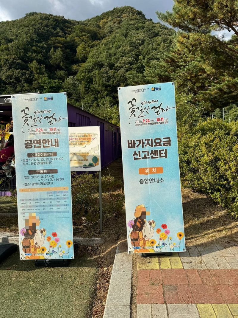 인제가을꽃축제 막바지 후기, 국화 만개·입장료·황태 가격
