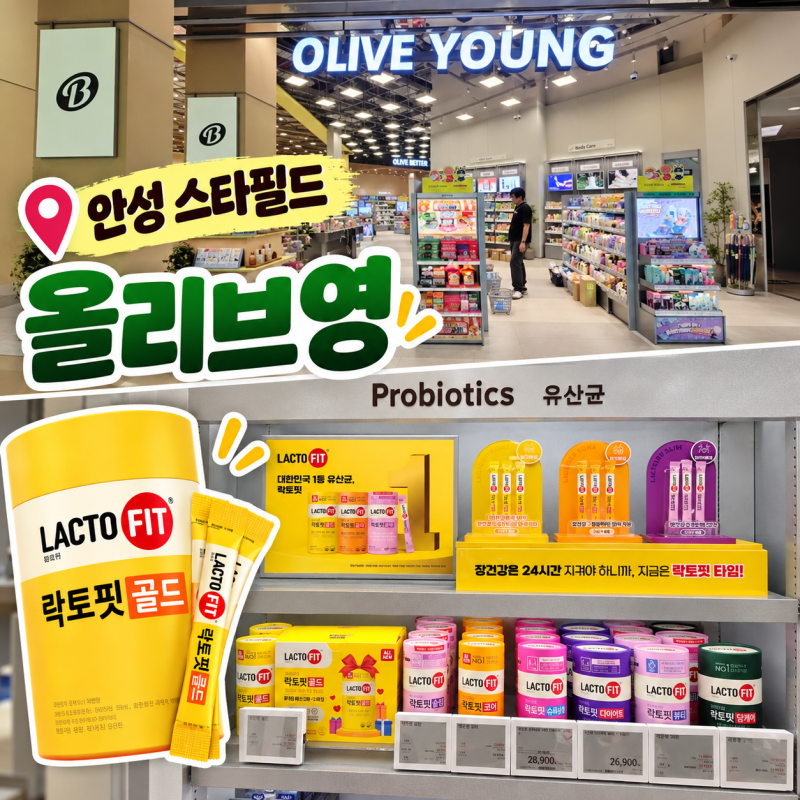 안성 스타필드 올리브영 락토핏골드 유산균 섭취방법 소비기한까지 직접 챙겨본 후기