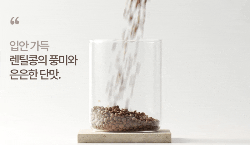 [부모님 효도 영양간식] 케어웰 고단백 시니어 렌틸콩 두유 24팩 24% 할인 2만 원대 (소화 잘되....