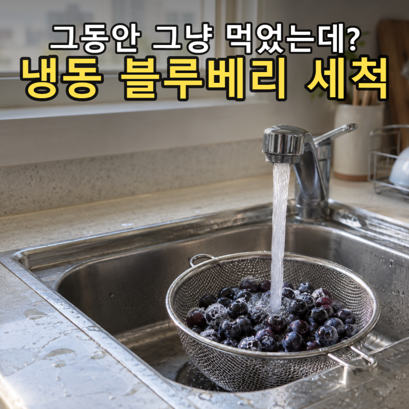 냉동 블루베리 세척, '바로 섭취 가능'이어도 씻어야 할까?
