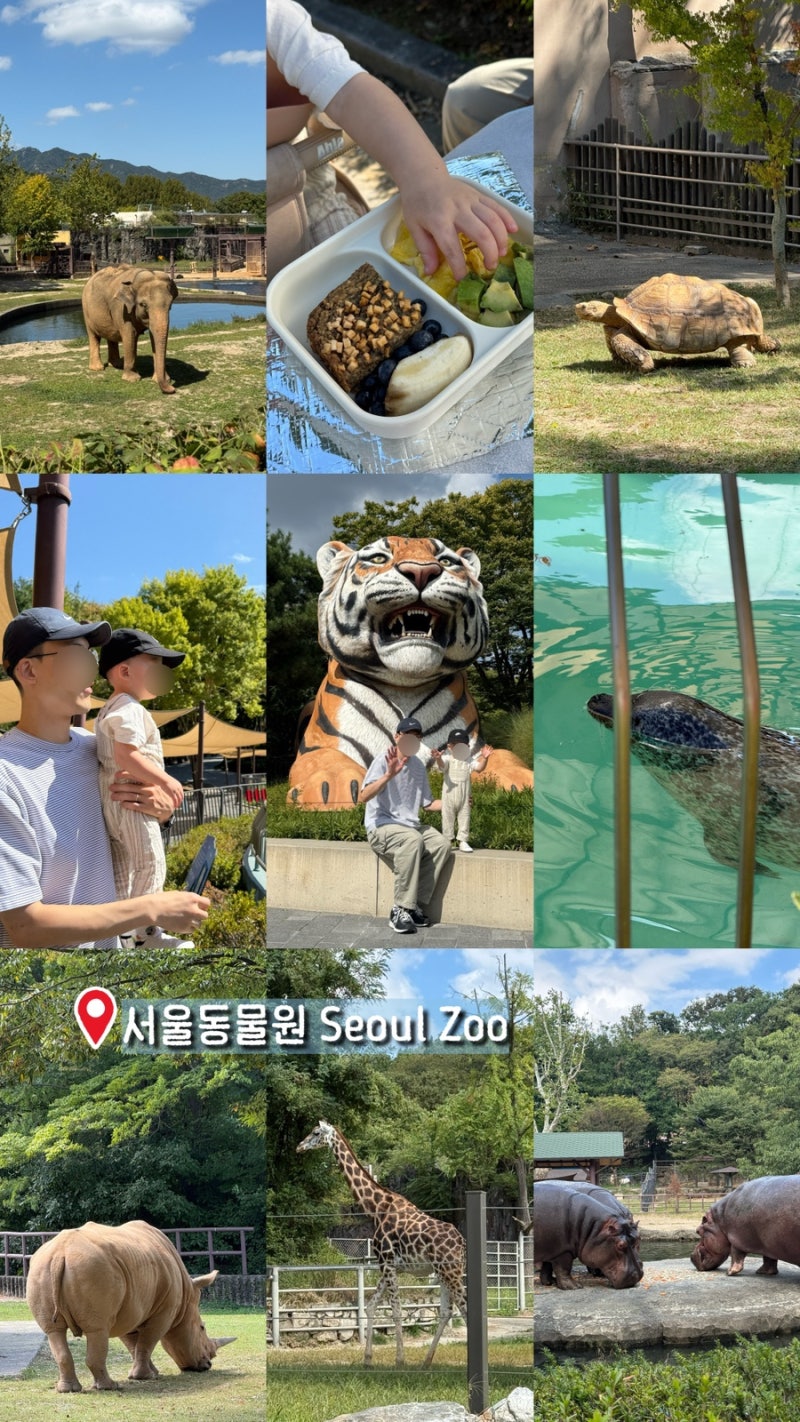 18개월 아기랑 서울대공원 동물원 | 주차 및 할인 정보, 스카이리프트 유모차 탑승 이용팁, 생....