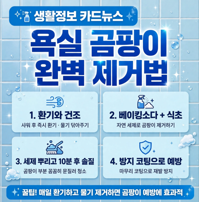 욕실 곰팡이 제거 방법 — 타일·실리콘 묵은 때 완벽하게 없애는 법