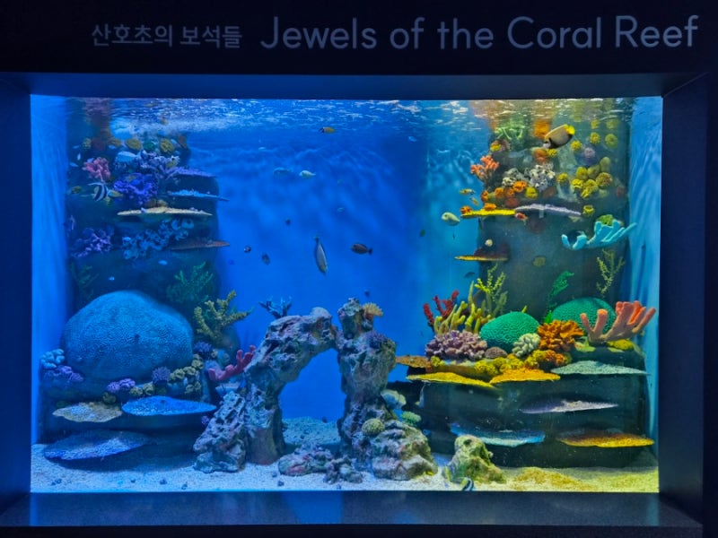 부산기장 국립수산과학관 수족관 아쿠아리움 26년9월 리뉴얼 달라진점
