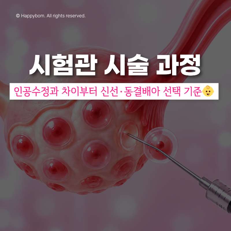 시험관 시술 과정 총정리｜인공수정과 차이부터 신선·동결배아 선택 기준까지