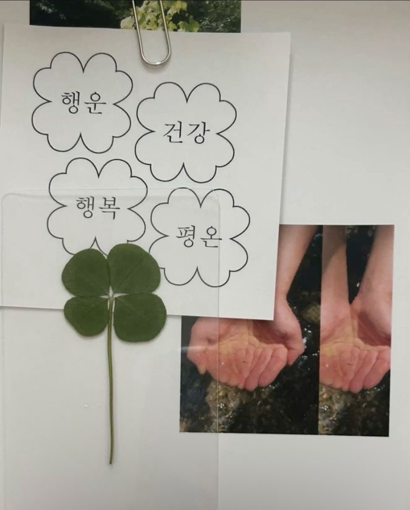 [시험관 동결1차] 배아 이식후 일상과 증상/소노아여성의원/통배이식/눈사람배아/배아이식후....