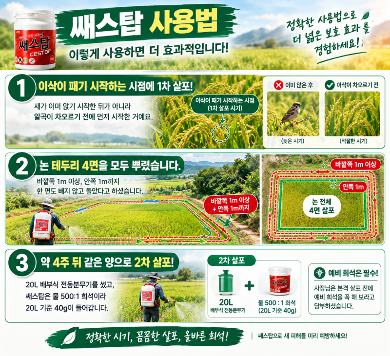 허수아비·폭죽이 3일 만에 끝나는 이유, 영천 논에서 찾은 참새 대책