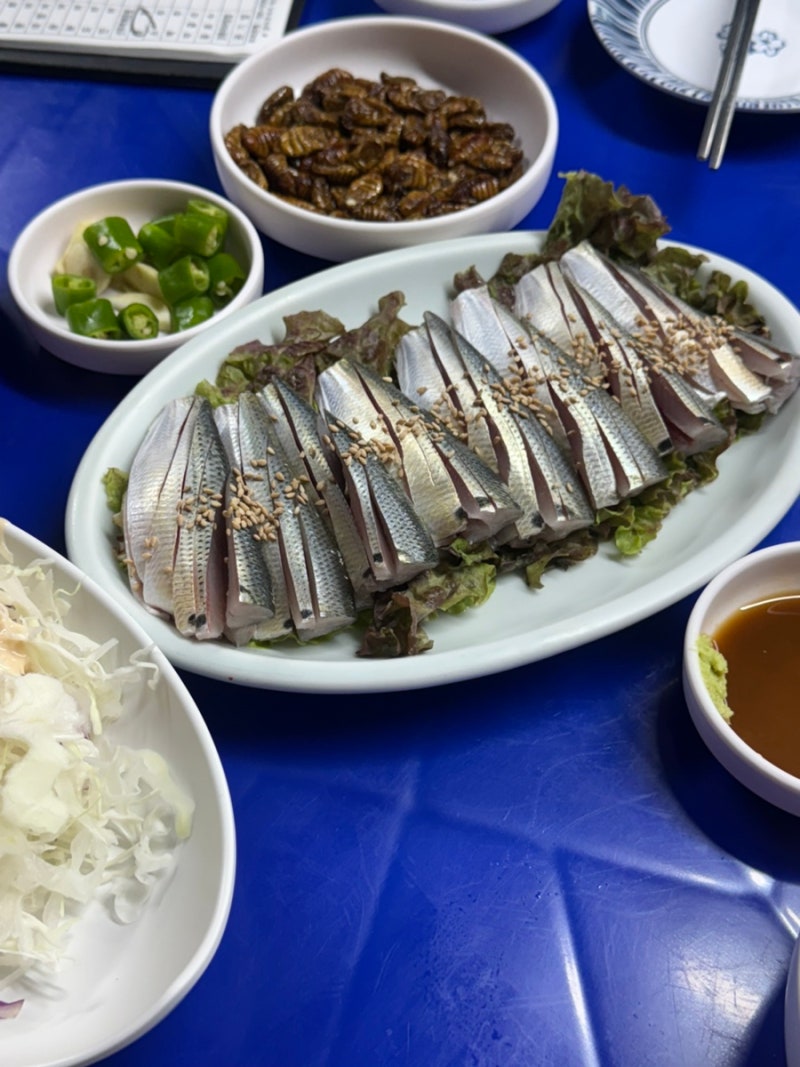 [성북구맛집] 구룡포계절회집｜가을 전어회 후기, 성북천 야장 & 웨이팅 정보