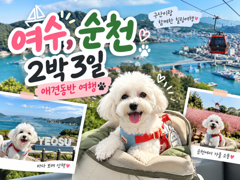강아지와 여수 순천 여행 2박3일 오로지 애견동반 코스로만 다녀온 후기