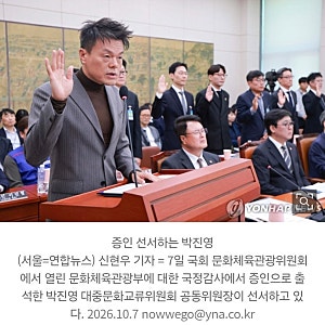 박진영 국감 출석, '패노매논' 4대 기획사가 직접 만든다.. "민간 주도가 맞다"