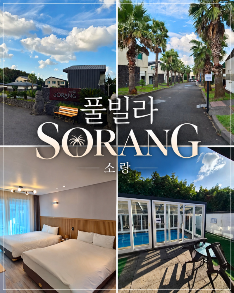 제주도독채펜션 추천 함덕해수욕장 근처 풀빌라소랑 완벽했던 제주도풀빌라제주여행 후기