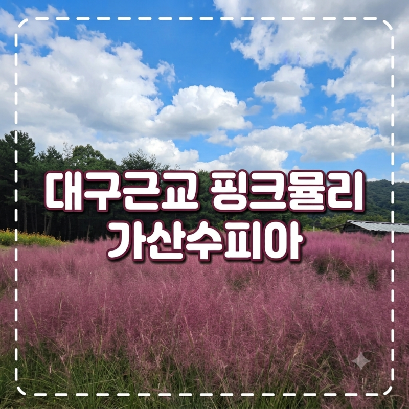 [대구 근교 나들이] 지금 안가면 아쉬워요! 핑크빛 물결 가득 경북 칠곡 '가산수피아' 핑크뮬....