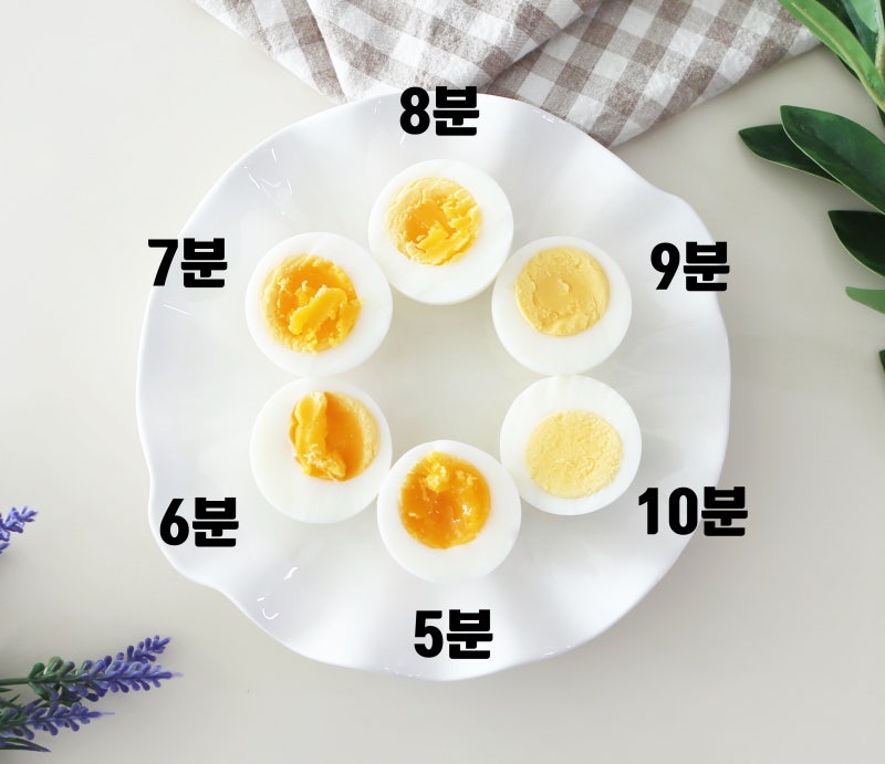 반숙 계란 삶는 시간 계란 삶는법