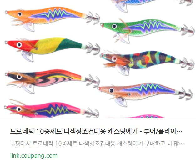 무늬오징어 에깅 낚시 방법 총정리 시즌·포인트·물때·에기 색상까지