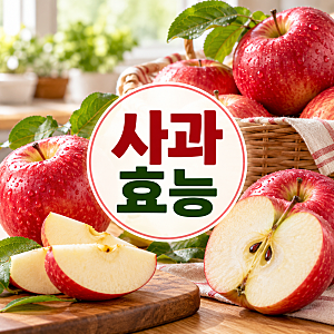 사과효능 5가지, 껍질째 먹어야 좋은 이유