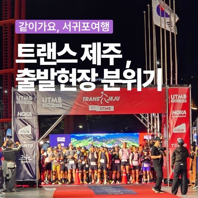 트랜스 제주 by UTMB 2026, 서귀포 제주월드컵경기장의 출발현장 분위기