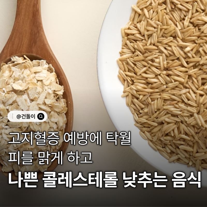 "고지혈증 예방에 탁월.." 피를 맑게 하고 나쁜 콜레스테롤 낮추는 음식 1위