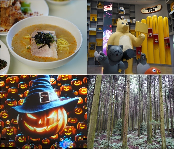 10월 11월 제주도 여행 사려니숲길 포함 제주 아이랑 가볼만한곳 추천