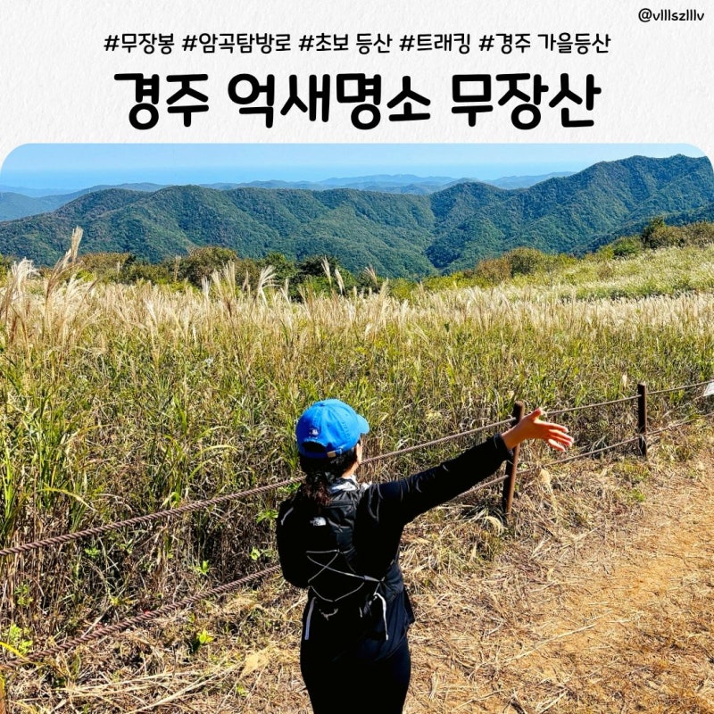 경주 무장산 등산 후기｜등산초보도 걷기 좋은 가을 억새명소