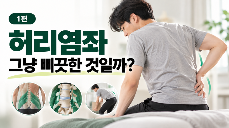 [주앤짐 - 재활 건강정보] 갑자기 삐끗한 허리, 무엇을 확인해야 할까요? （허리염좌 １편）