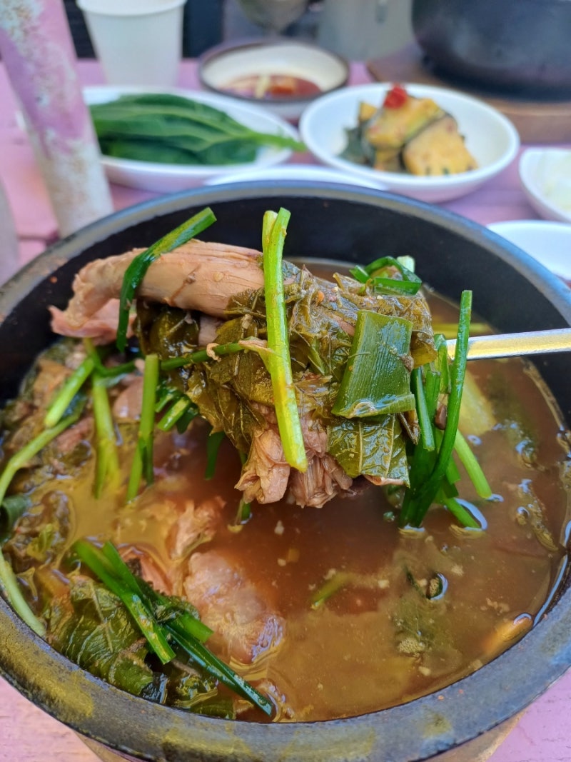 원주 오로라CC 근처 흑염소전문 맛집 계곡이 있는 원주단체펜션 방문기