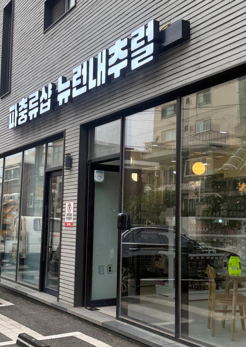 크래스티드게코 집 꾸미기 ㅣ 동탄 파충류샵 뉴런내추럴 초보 집사 방문 후기