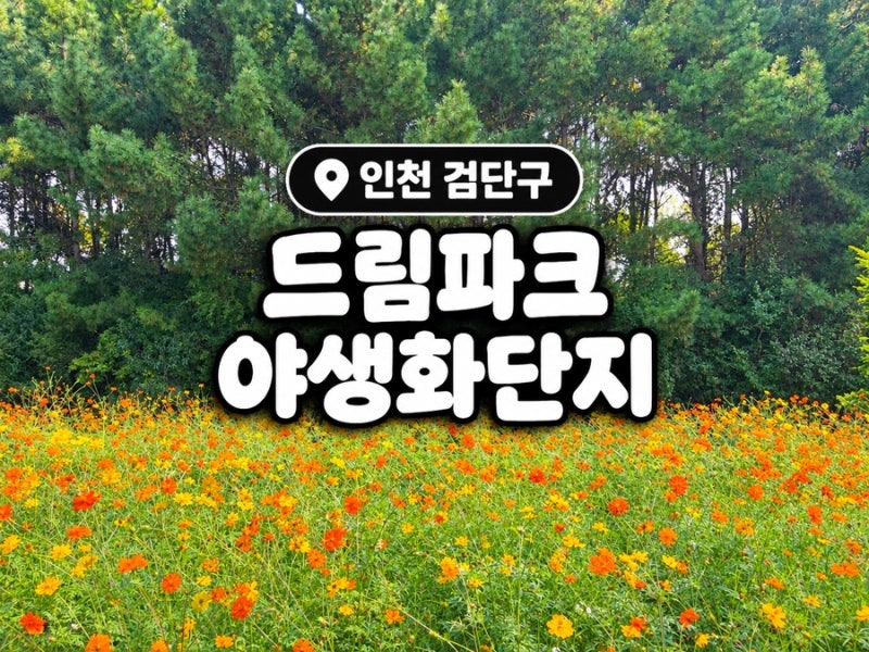 인천 아이와 가볼 만한 곳 드림파크 야생화단지｜주차 무료 놀이터까지