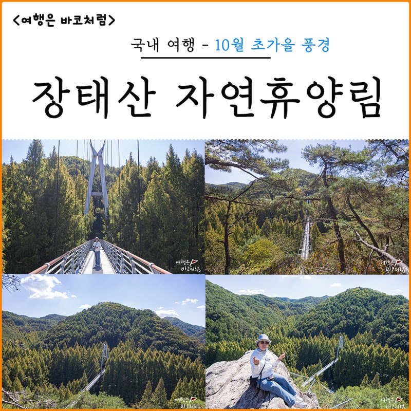 10월 초 가을 장태산자연휴양림 단풍 구경, 아직은 초록초록