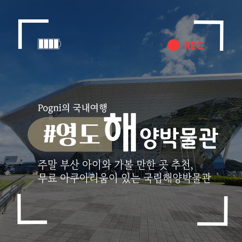 주말 아이와 가볼 만한 곳 추천, 부산 영도 국립 해양박물관│주차, 카페, 아쿠아리움 등 가....