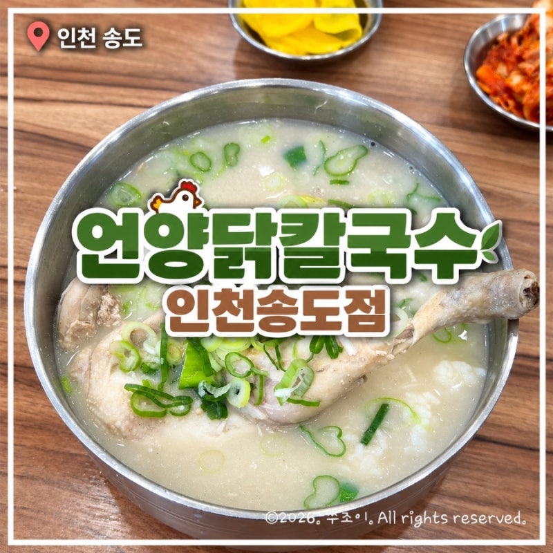 인천 송도 맛집 점심｜언양닭칼국수 인천송도점